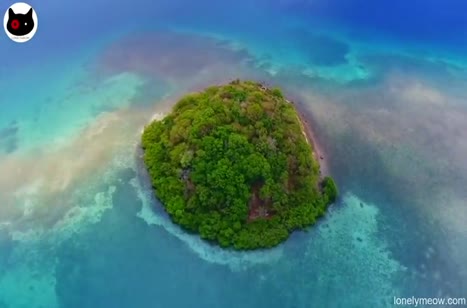 Загорелая телочка переключилась с мастурбации на член